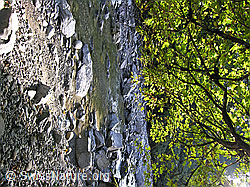 F038594: Fluss Emme mit Morgenstimmung