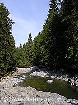 F038597: Am Oberlauf der Emme