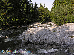 F038604: Am Oberlauf der Emme