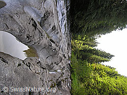 F038611: Emme: Mit Wasser gefüllte Vertiefung