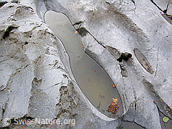 F038613: Mit Wasser gefüllte Vertiefung im Fels