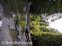 F038615: Am Oberlauf der Emme