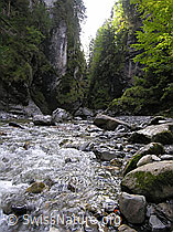 F038620: Am Oberlauf der Emme