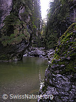 F038629: Am Oberlauf der Emme