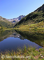 F039021: Halsesee und Ofenhorn