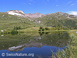 F039029: Spiegelung im Binntal