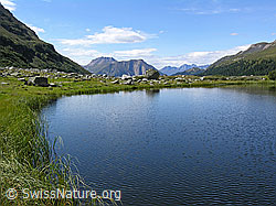 F039039: Halsesee, Bättlihorn und Breithorn