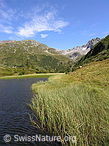 F039041: Bergsee und Ofenhorn