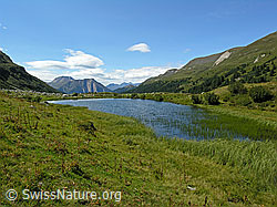 F039043: Halsesee im Binntal