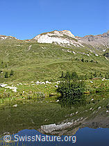 F039066: Spieglung der Turbechepf im Halsesee