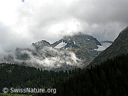 Photo: Licht und Schatten am Schwarzhorn