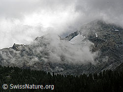 F039109: Nebelschwaden am Schwarzhorn