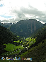 F039141: Lichtspot auf dem Binntal