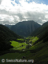 F039145: Lichtspot auf dem Binntal