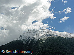 F039174: Schneefallgrenze und Stimmung am Breithorn