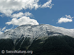F039178: Schneefallgrenze am Breithorn