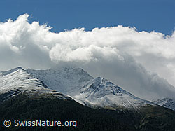 F039181: Schneefallgrenze in den Bergen