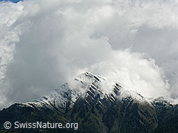 F039185: Berg mit deutlicher Schneefallgrenze