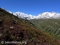 F039239: Saflischtal