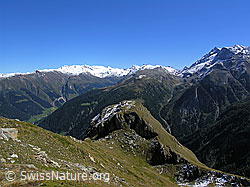 F039258: Gipfel des Meiggerhorns