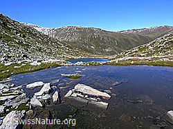 F039277: Witentirsee