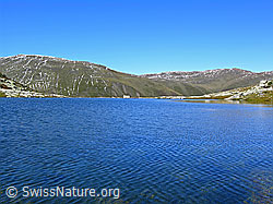 F039291: Leichte Wellen im Witentirsee