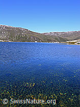 F039293: Witentirsee