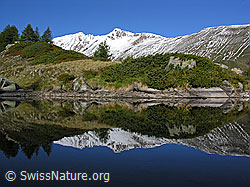 F039331: Spiegelung des Bättlihorns in kleinem Bergsee