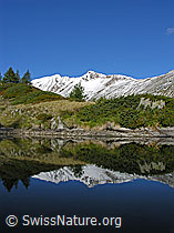 F039332: Spiegelung des Bättlihorns (Saflischtal) in kleinem Bergsee