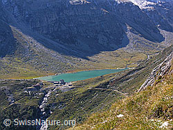 F039346: Staubecken Chummibort