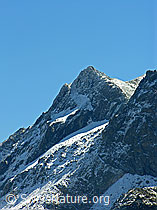 F039359: Schwarzhorn