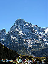 F039364: Vordere Helse