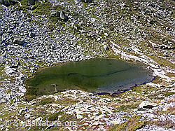 F039409: Witentirsee