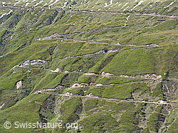 F039417: Fahrweg zum Furggerchäller