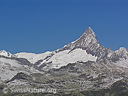 F039584: Finsteraarhorn von Süden