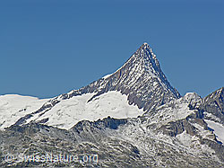 F039594: Finsteraarhorn (Südansicht)