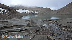 F039764: Struktur im Lehm am Gletschersee
