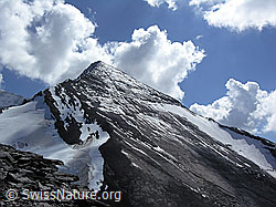 F039863: Altels N-Grat und NW-Flanke