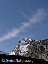 Photo: Rinderhorn in der Morgensonne