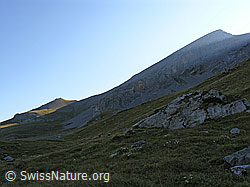 F039934: Unter Tatelishorn und Ober Tatelishorn