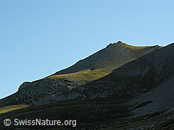 F039935: Unter Tatelishorn