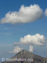 F039965: Quellwolken