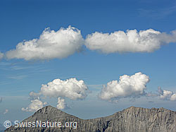 F039966: Vorder Lohner und Mittlere Lohner