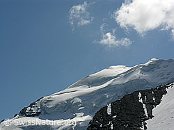 Foto: Balmhorn