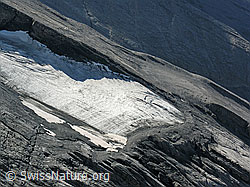 F039973: Gletscherzunge
