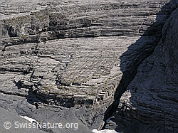 F040008: Abwärts geschichteter Fels