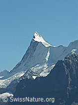 Foto: Finsteraarhorn