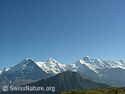 F040248: Männlichen und Hochalpen der Jungfrauregion