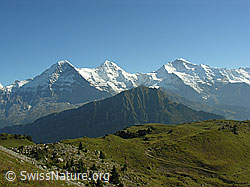 F040249: Männlichen und Dreigestirn