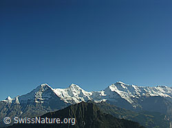 F040255: Männlichen vor Eiger, Mönch und Jungfrau